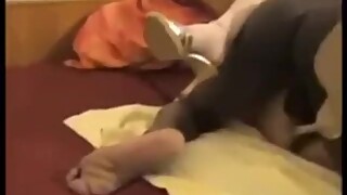 Wife creampied by bbc cuckold